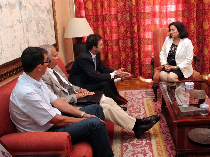 Reunión de la presidenta palmera con Endesa