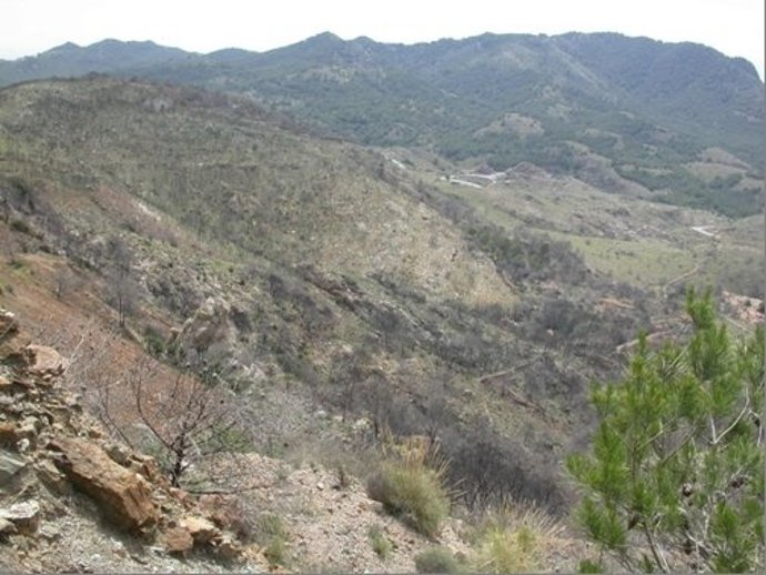 Zona incendiada en el Parque Regional de Calblanque
