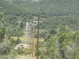 Línea eléctrica de media tensión de Endesa en el bosque de  El Pont d'Armentera