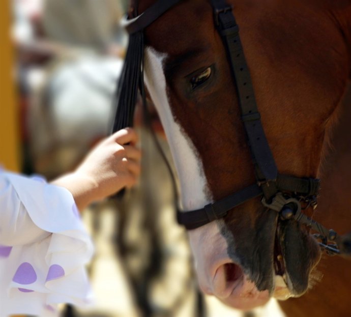 Feria del Caballo