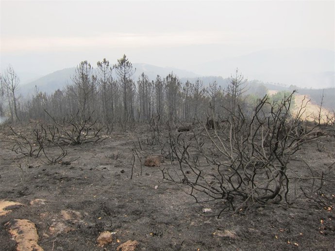 Vigo Foto Monte Ponte Caldelas