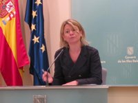 El Govern subraya que la denuncia contra Bravo fue porque "atentó contra el derecho al honor" de Bauzá