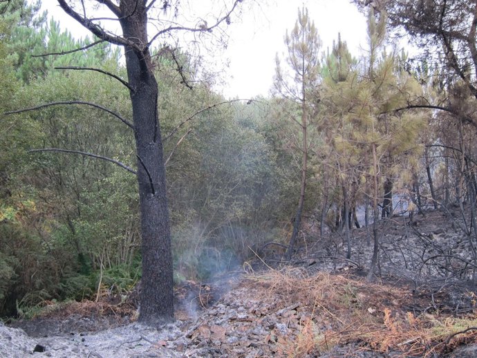 Incendio Caldas (Galicia)
