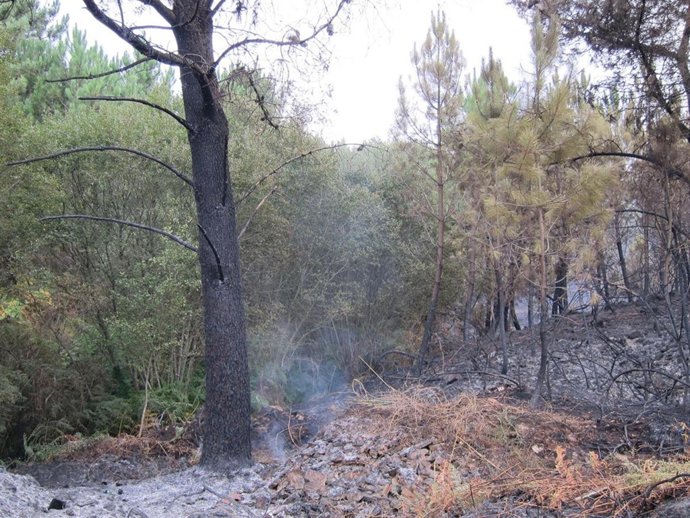 Monte quemado en Ponte Caldelas (Pontevedra)