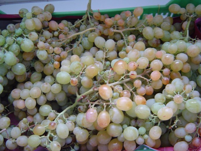 Uva, uvas, vendimia, racimos, fin de año, Nochevieja