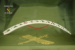 Colmillo de elefante de marfil