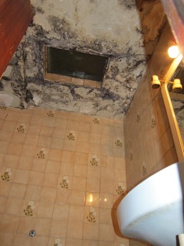 Lavabo con humedades de una de las 'casas baratas' del Bon Pastor