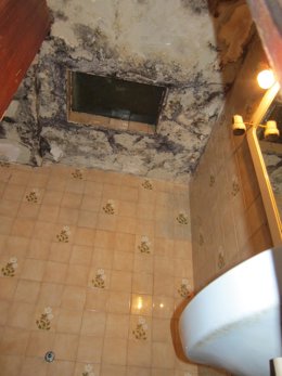 Lavabo con humedades de una de las 'casas baratas' del Bon Pastor