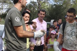 Animales recuperados