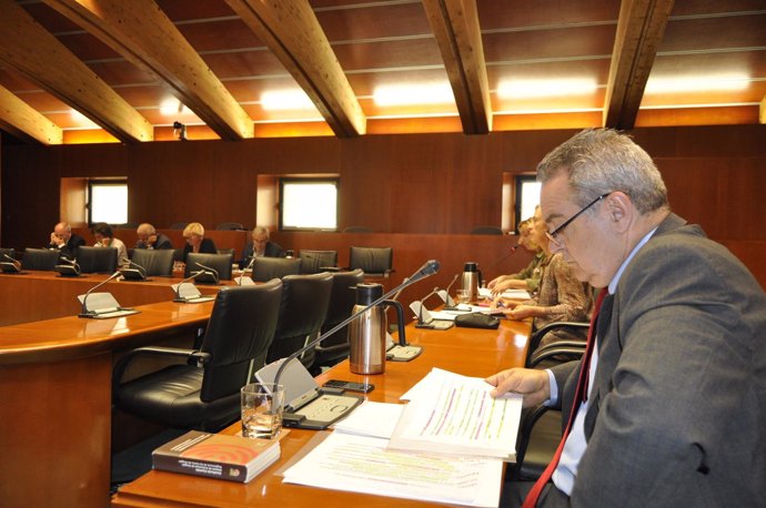 Comisión Institucional y de Desarrollo Estatutario en las Cortes