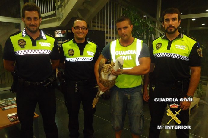 Los agentes con el buitre localizado en Oropesa