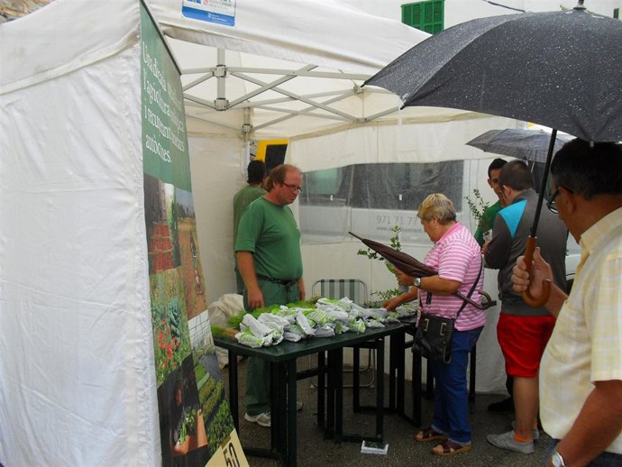Reparten árboles en la Fira de Artà