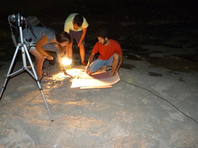 El responsable principal de la investigación, Bernat Vila, estudiando icnitas