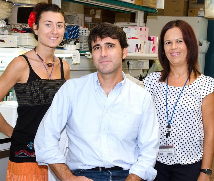 Imagen de algunos de los expertos del Ciberned que han participado en el estudio