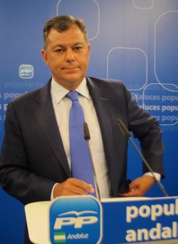 El secretario general del PP-A, José Luis Sanz, hoy en rueda de prensa