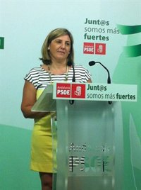 García (PSOE) subraya la "sobrada experiencia" de Jiménez Barrios, un gaditano "de excepción"