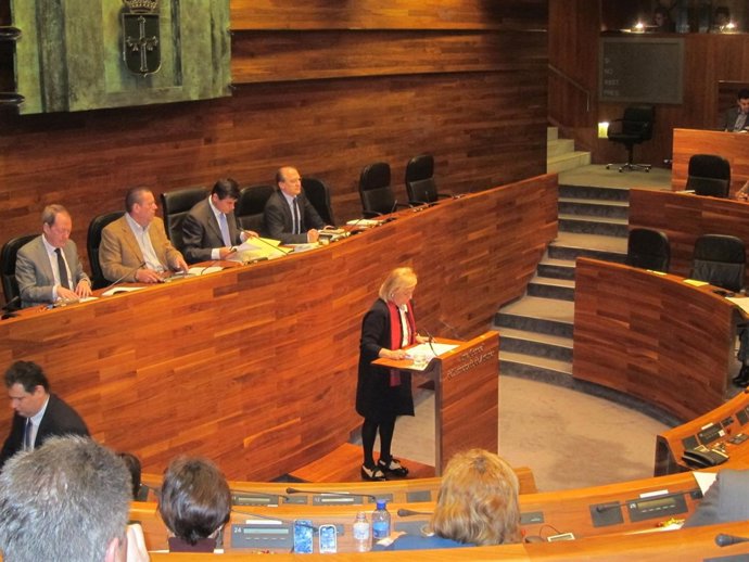 Pleno de la Junta General 