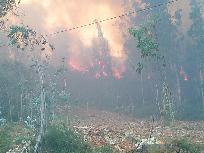 Incendio forestal en el monte pedroso, en Santiago de Compostela