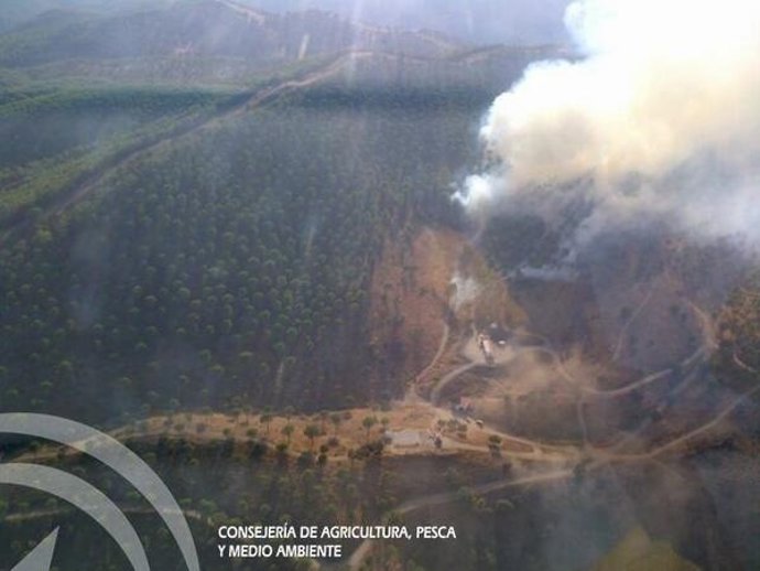 Incendio en Villanueva del Rey