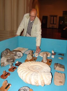 Paleontólogo mexicano Joaquín García-Baena