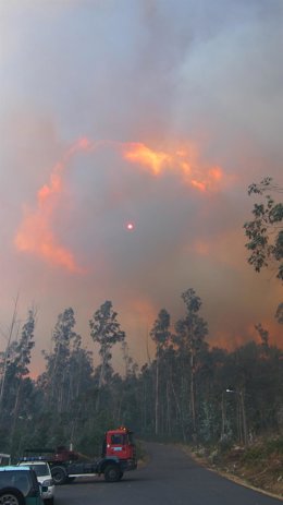 Incendio próximo a Santiago en el que se decretó alerta 1