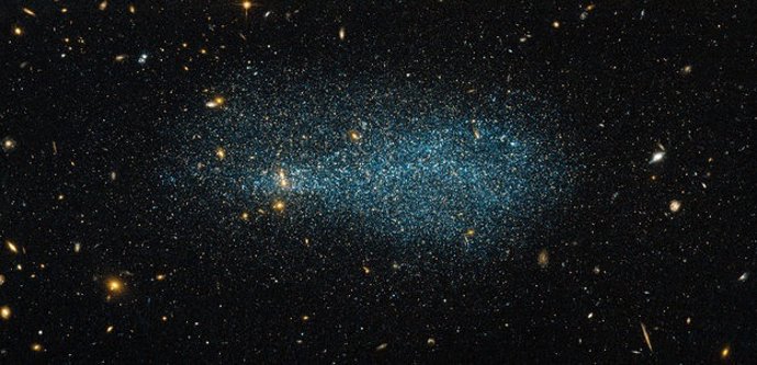 The glittering specks in this image, resembling a distant flock of flying birds,
