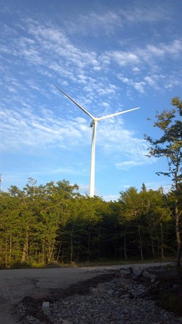 Parque eólico de Iberdrola en Estados Unidos