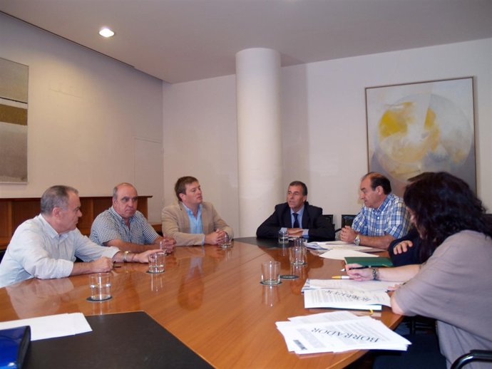 Reunión entre ADELPA y la DPH