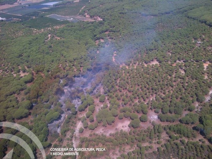 Imagen de la zona del paraje Los Riscos, en Cartaya, afectada por un incendio. 