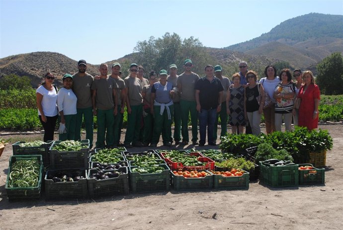 Verduras entregadas a Cáritas de un taller de empleo