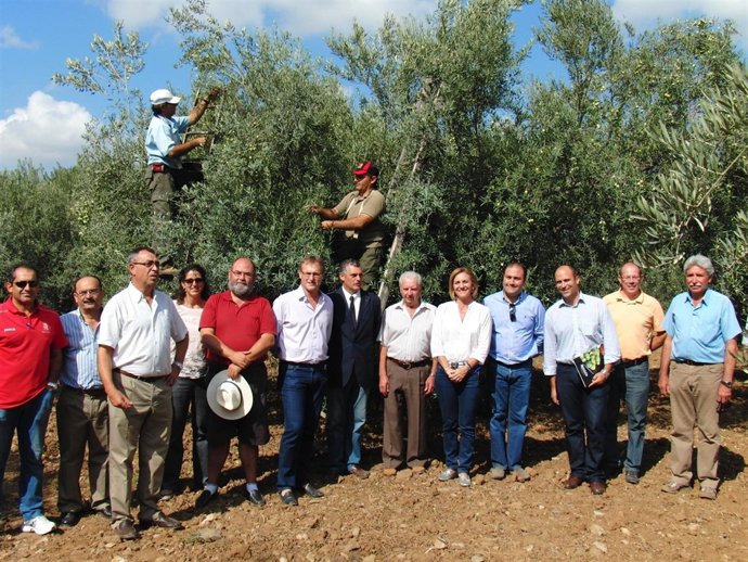 Inicio de la campaña de verdeo 