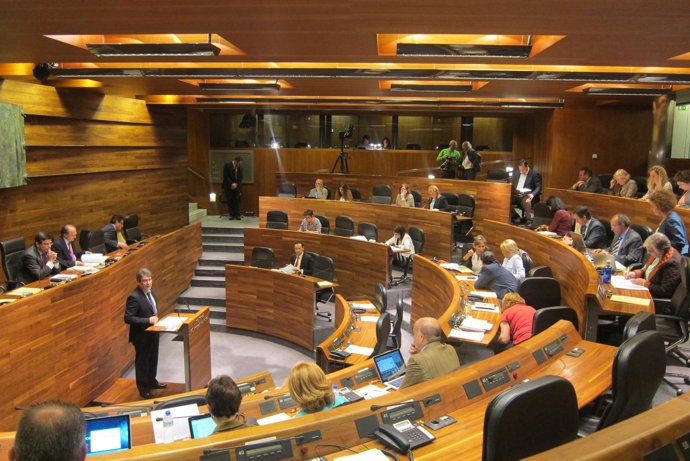 Pleno de la Junta General