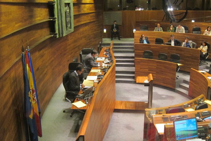 Pleno de la Junta General