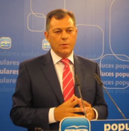 El secretario general del PP-A, José Luis Sanz, hoy en rueda de prensa