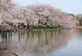 Parque Tokio