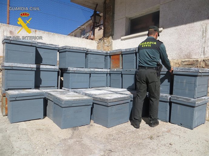 Colmenas recuperadas en Ávila