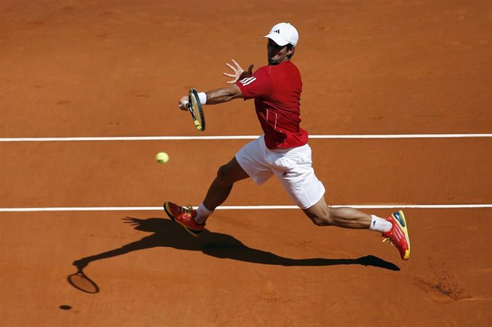 Fernando Verdasco en la Copa Davis