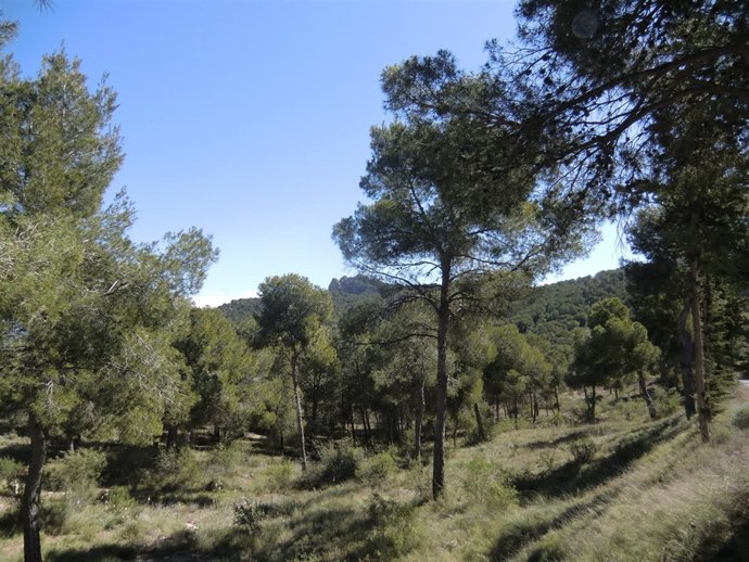 Parquer Regional El Valle Y Carrascoy