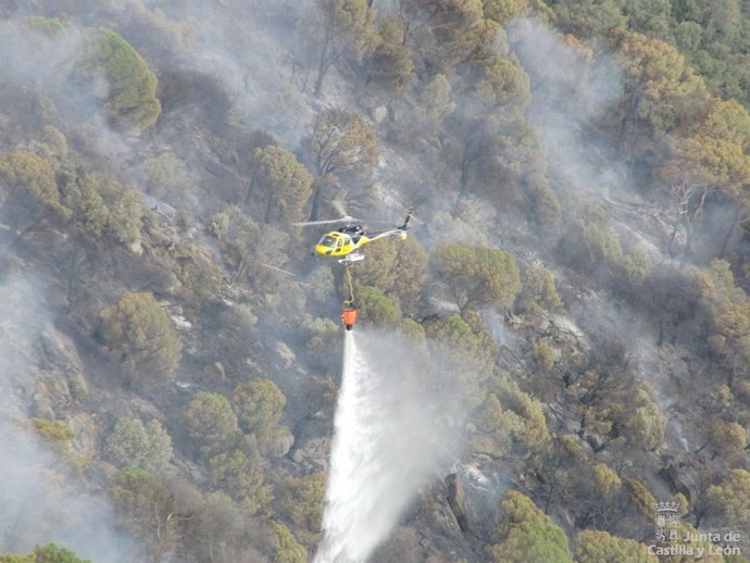 Labores de extinción en Sotillo de la Adrada (Ávila)