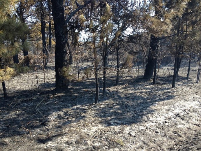 Monte Pindo calcinado tras un devastador incendio