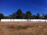 Pacma mantiene su presencia en Tordesillas con un acto simbólico