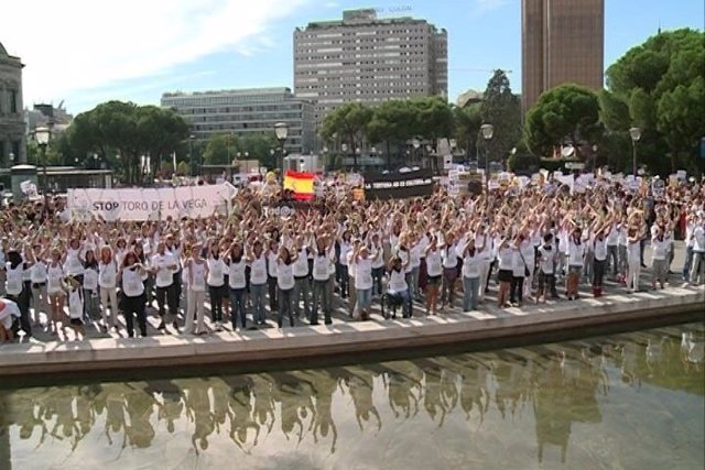 PROTESTA MADRID CONTRA TORO DE LA VEGA