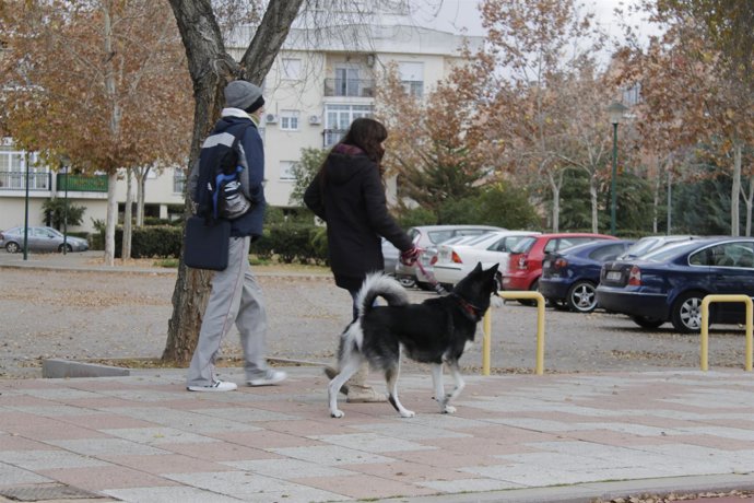 MUJER CON PERRO