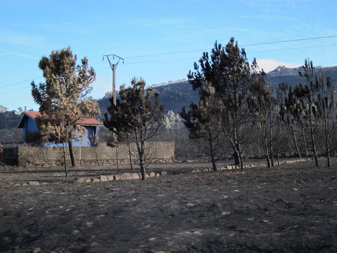 Incendio en Monte Pindo (Carnota)