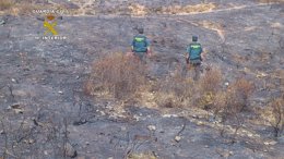 Detenido menor por provocar un incendio en Aznalcóllar (Sevilla)