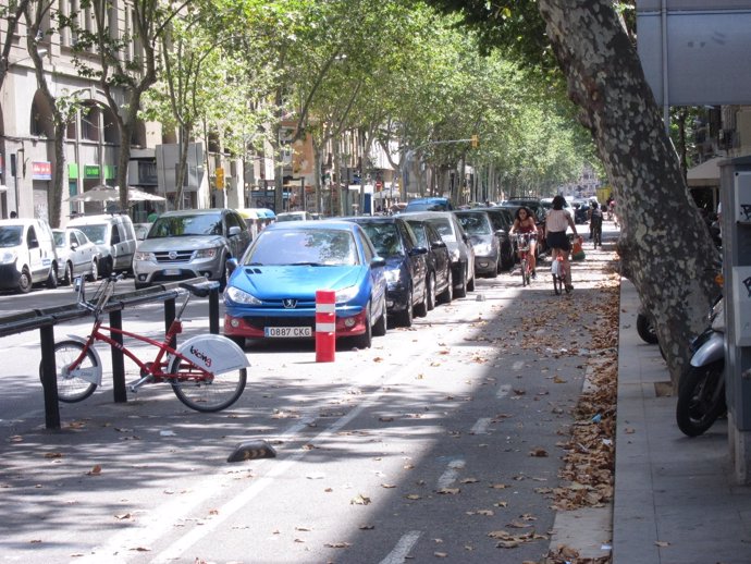 Carril bici de la Ronda Sant Pau ante una parada del Bicing de Barcelona