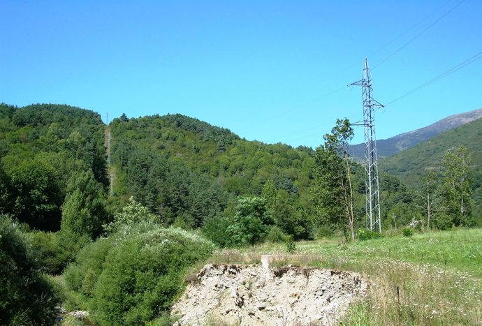 Mejora de una línea de Endesa en el Ripollès y la Cerdanya
