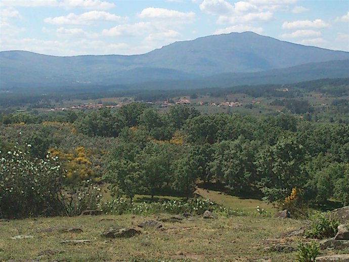 Paisaje Natural De Sierra De Gata (Cáceres)
