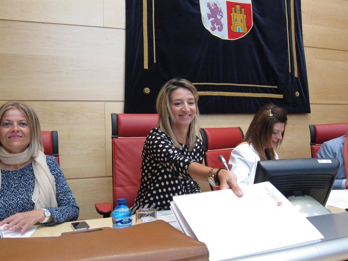 La consejera de Cultura, Alicia García, comparece en las Cortes