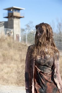 La AMC anuncia el spin-off de The Walking Dead